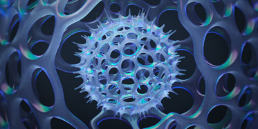 RadioZoa